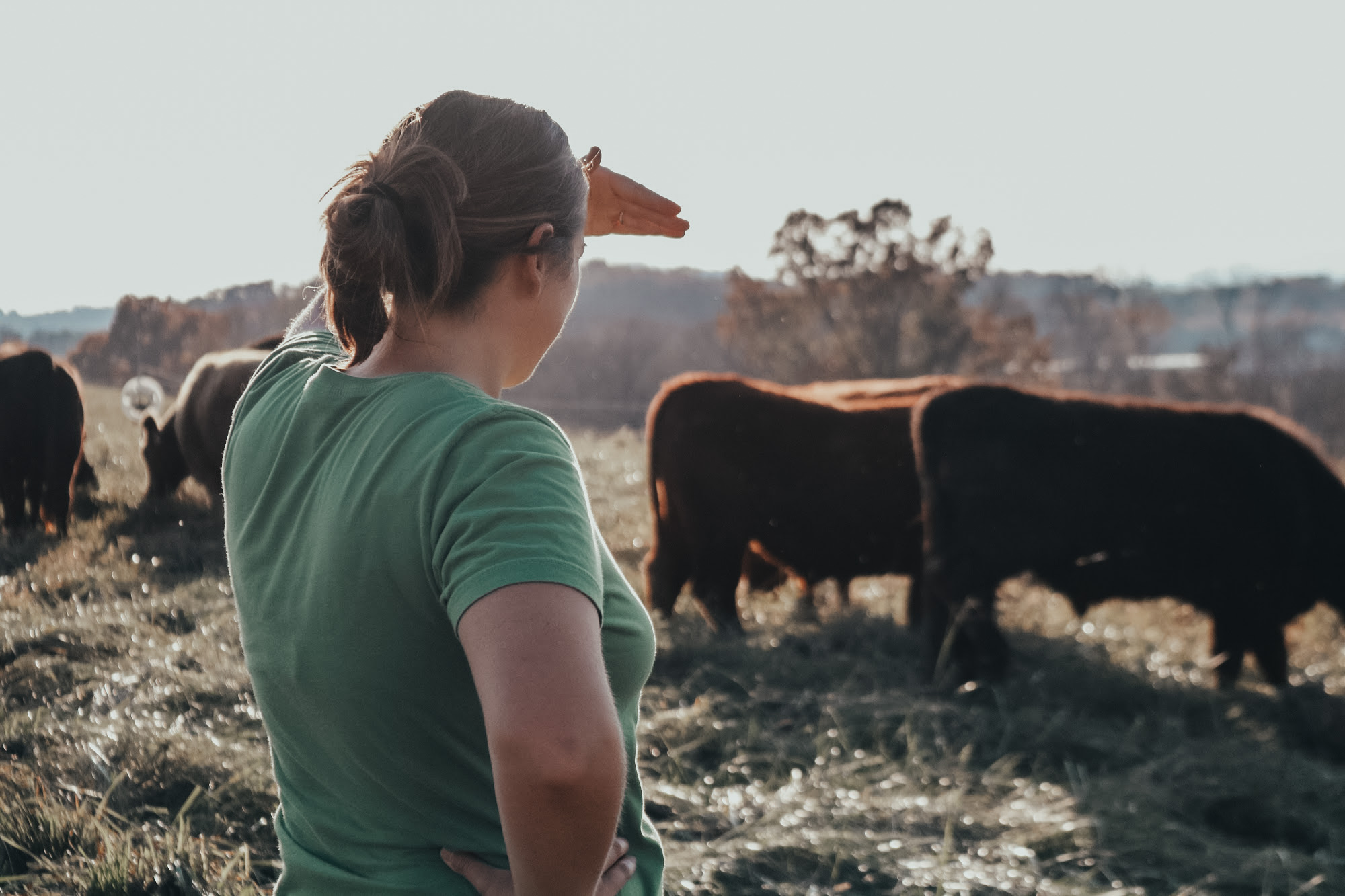 Kelly Looking at Land