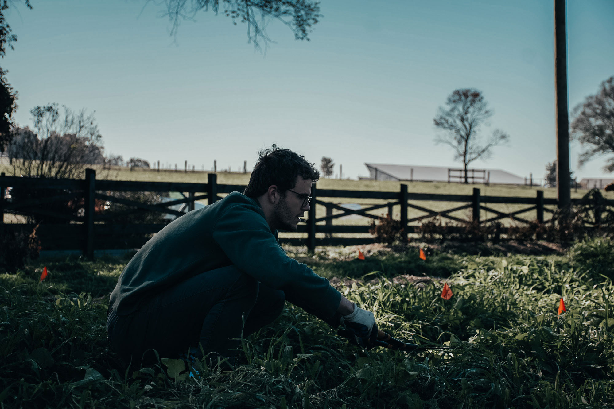 Will Vest Works on Crops