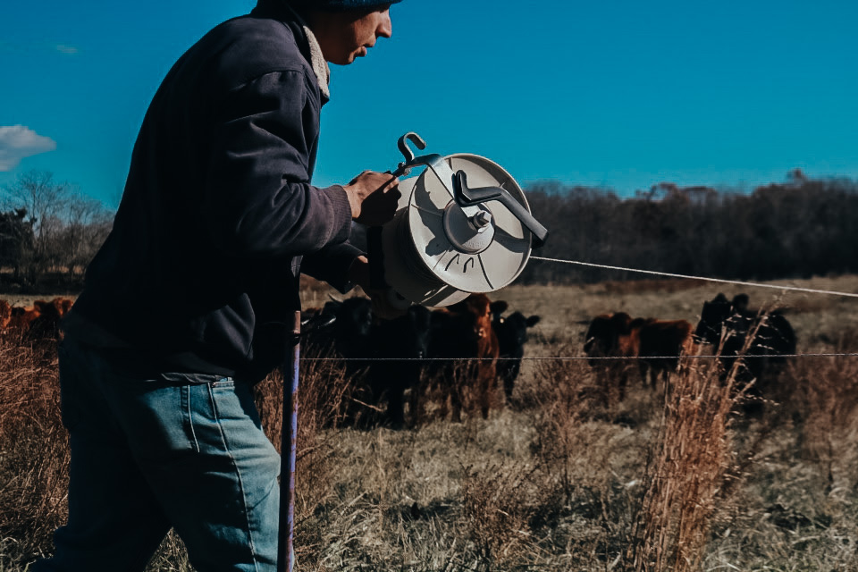 Moving Electric Fence